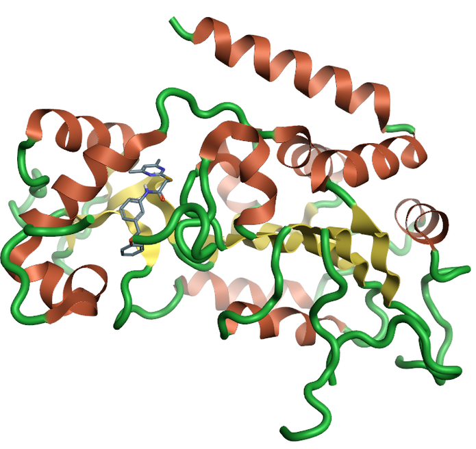 Ribbon for the crystal structure 5yql human Sirtuin-2