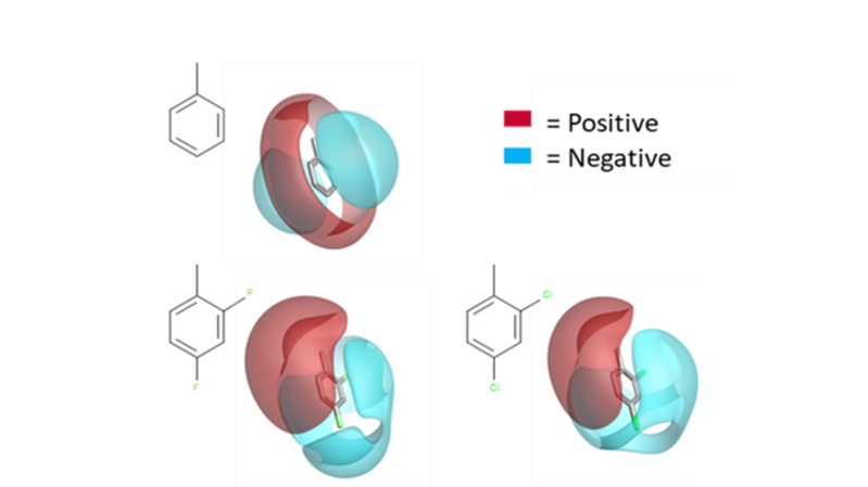Cresset's XED force field, applied to show positive and negative fields
