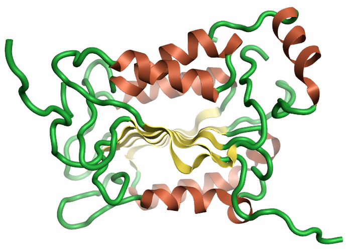 Ribbon for the 1ice Crystal structure of the human caspase