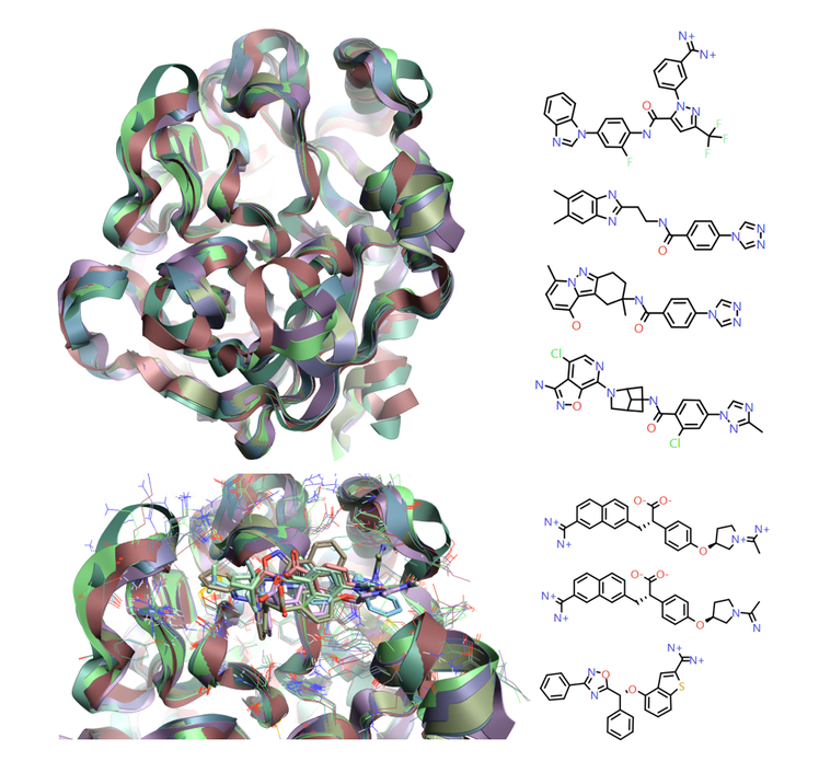 Crystal structures for Factor IXa modeled in Flare