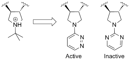 Subsitution of t-butyl for aromatic, basic to non-basic