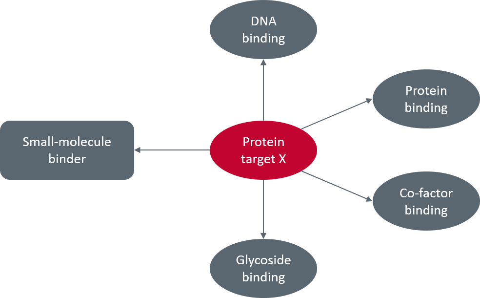 Figure 1_Possible partners for protein target X