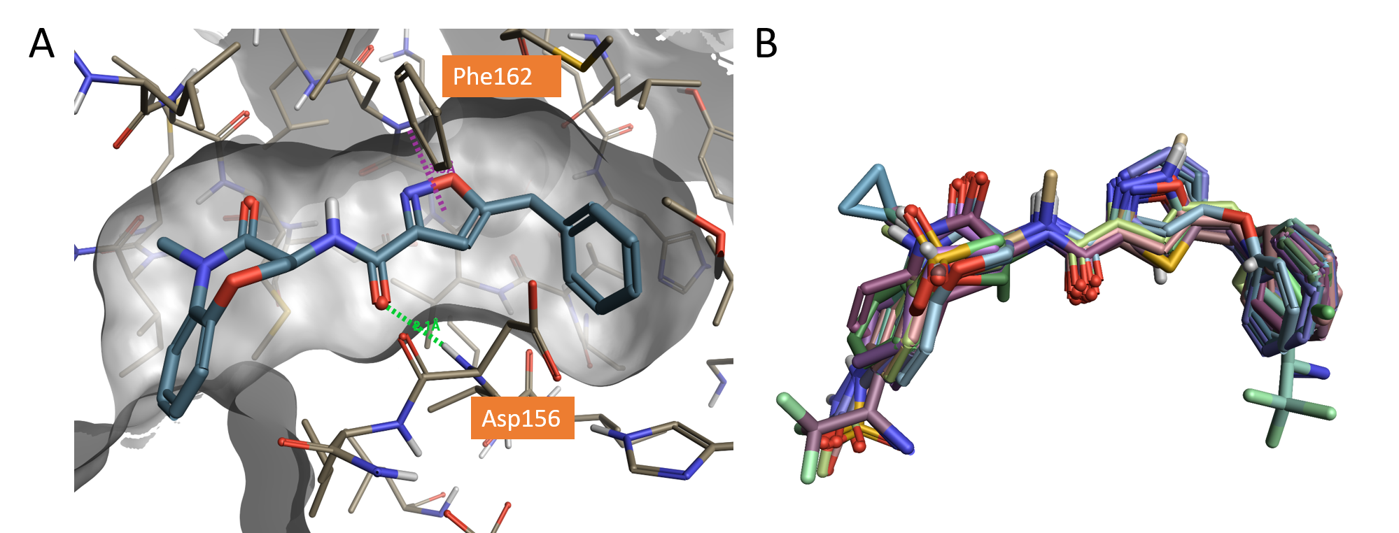 Figure 1_Crystallographic compound GSK’481 and Dataset of molecules aligned to the X-ray structure of GSK’481