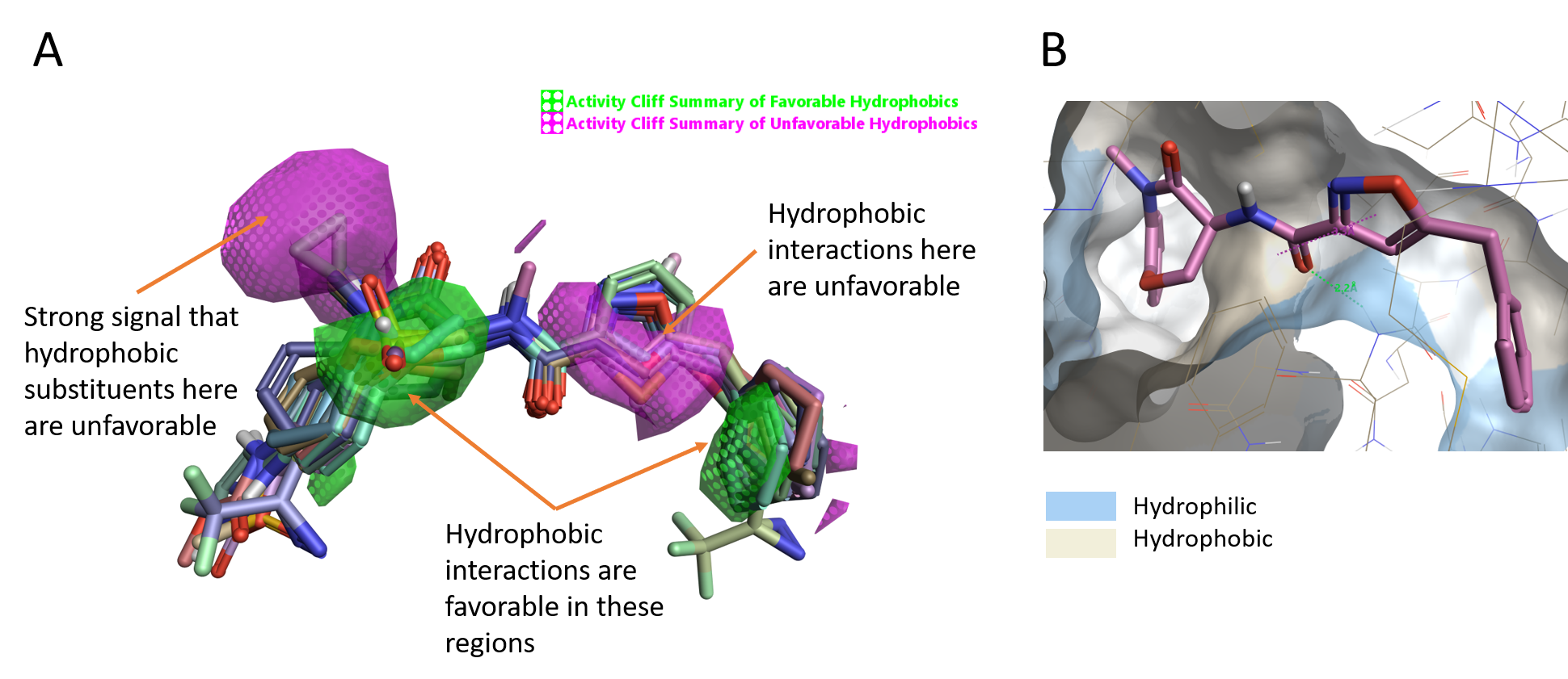 Figure 4_ Activity cliff summary of hydrophobics map; Molecular surface of RIPK1 colored by hydrophobicity