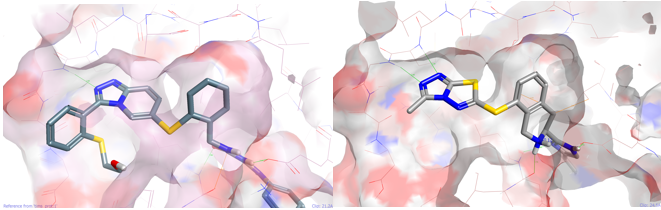 Left Pfizer ligand in PDB 2YIS right Spark output example 3 from the thiol reagent pool in the same protein