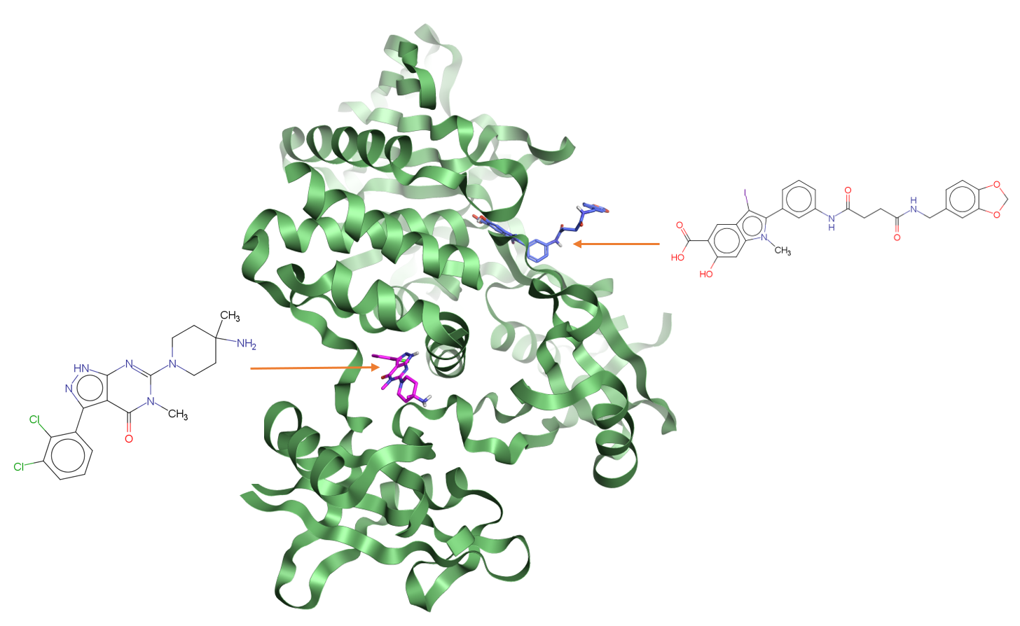 Phosphate binding site and allosteric binding site for Tyrosine-protein phosphatase non-receptor type 11
