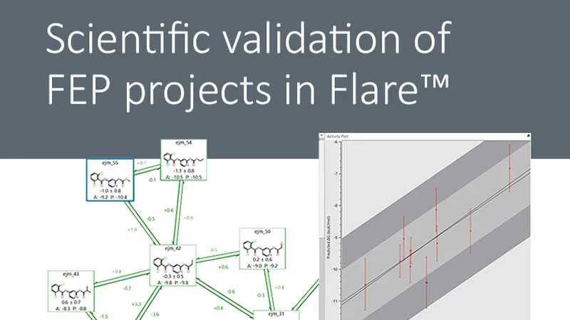 Scientific validation of FEP projects in molecular modelling platform, Flare