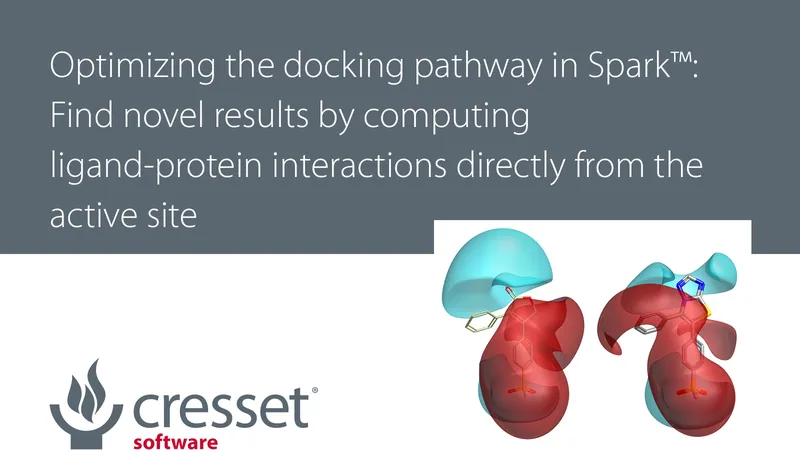 Optimizing the docking pathway in Spark: Enabling you to find novel results by computing ligand-protein interactions directly from the active site