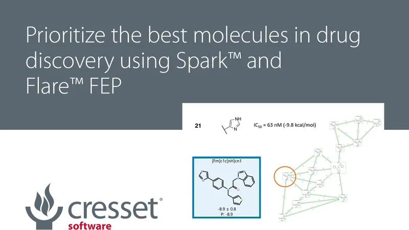 Prioritize the best molecules in drug discovery using Spark™ and Flare™ FEP
