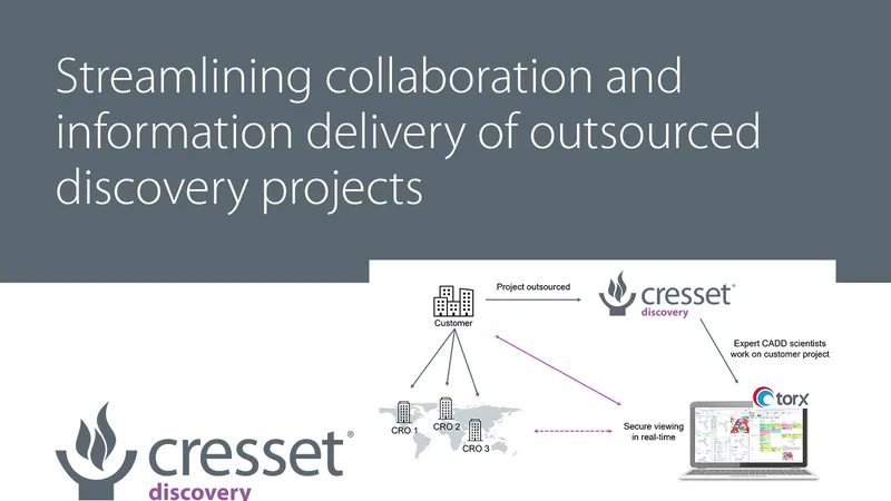 Streamlining collaboration and information delivery of outsourced discovery projects