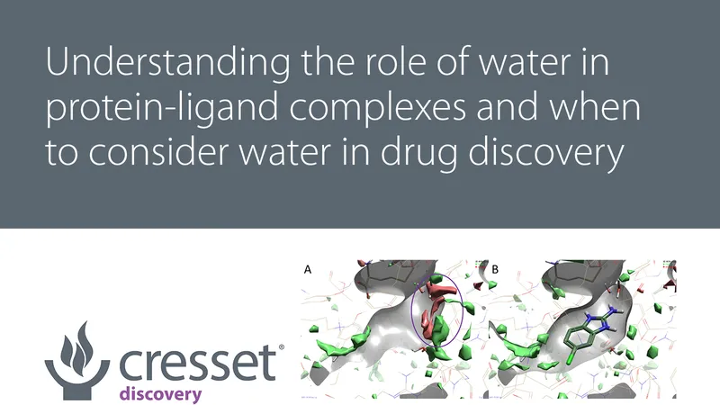 Understanding the role of water in protein-ligand complexes