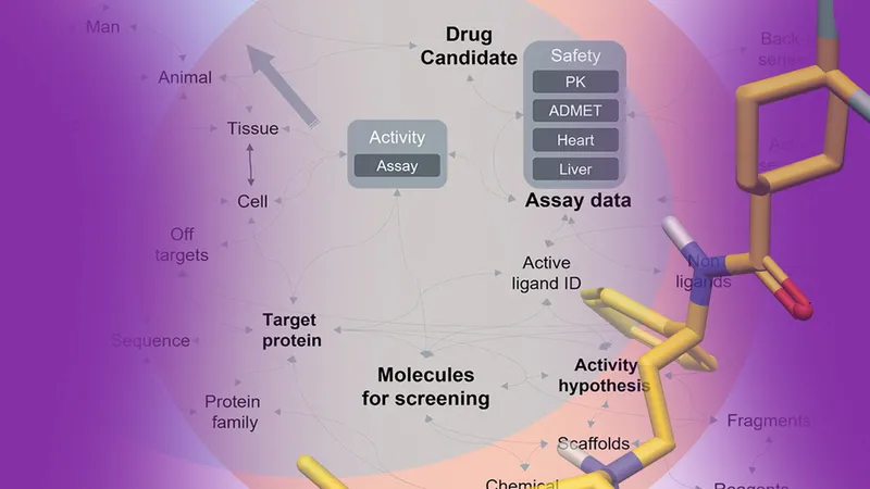 Diagram demonstrating complexity of the drug discovery process