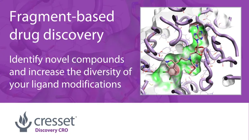 Fragment based drug discovery - identify novel compounds