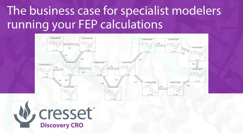 The business case for specialist modelers running your Free Energy Perturbation (FEP) calculations