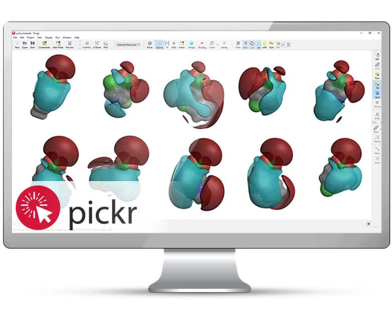 PickR: select electrostatically diverse monomers