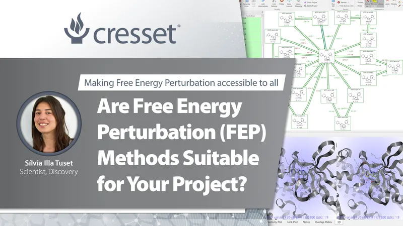 Are Free Energy Perturbation (FEP) Methods Suitable for Your Project?