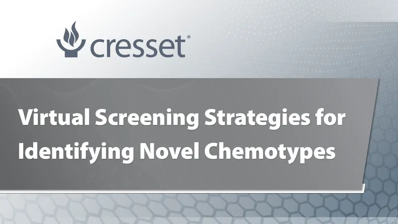 Virtual screening strategies for identifying novel chemotypes