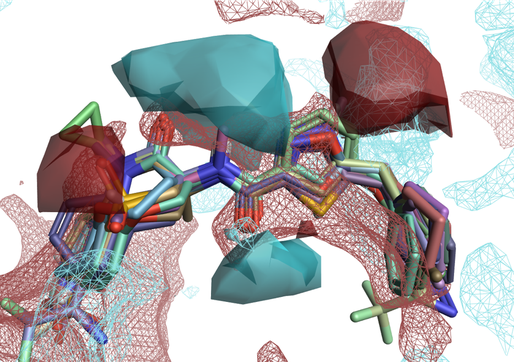 Figure 4: Solid surfaces: Activity Cliffs Summary of ligand electrostatics for a RIP1 kinase ligand series. Wireframe surfaces: protein interaction potentials for the RIP1 kinase protein