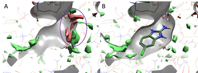 3D-RISM analysis of hPNMT complex