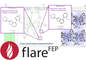 Flare Hit Expander and Flare FEP for accelerating hit-to-lead