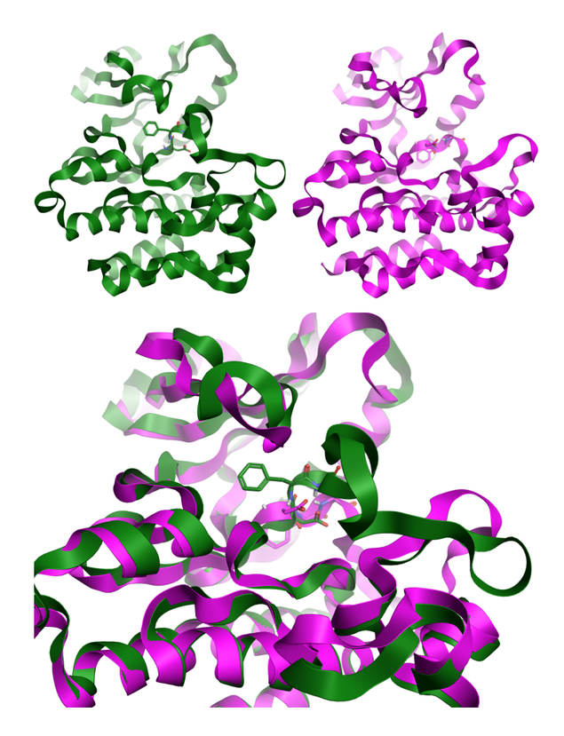 DFG In and Out conformations for ABL kinase, modeled in Flare