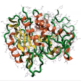 Caspase-3 protein in molecular modelling platform, Flare