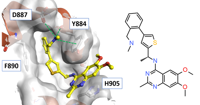 X-ray crystal structure of compound 23 in the SOS1 active site