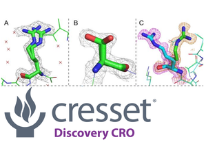 Cresset Discovery protein preparation newsletter image