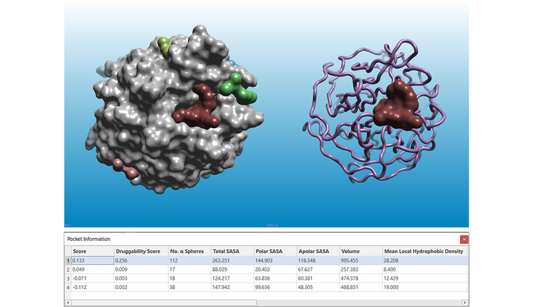 The new pocket detection method in Flare enables users to find and characterize potential druggable binding sites