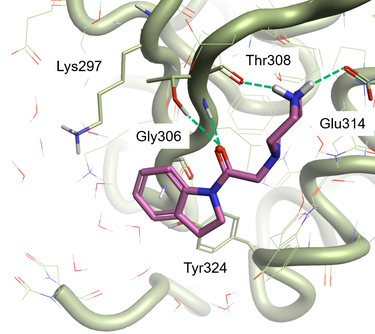 Figure1_the-5C7A-ligand_protein-complex.png (imported)