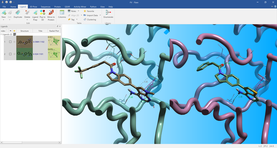 Create stunning 3D graphics of ligands and proteins in Flare Visualizer