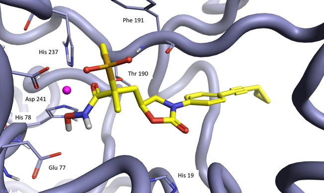 X-ray crystal structure of 13f complexed with P aeruginosa LpxC enzyme PDB 6MAE