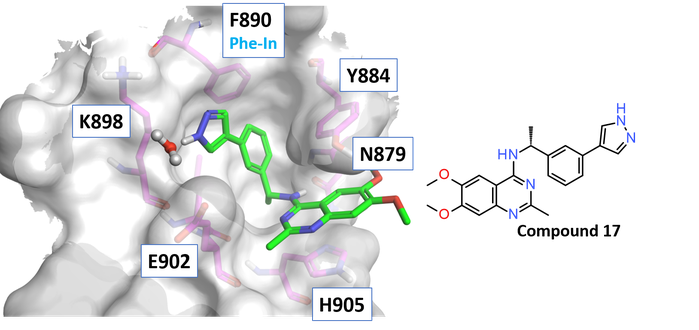X-ray crystal structure of compound 17 in the SOS1SB active site