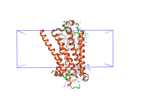 Protein with membrane leaflet indication