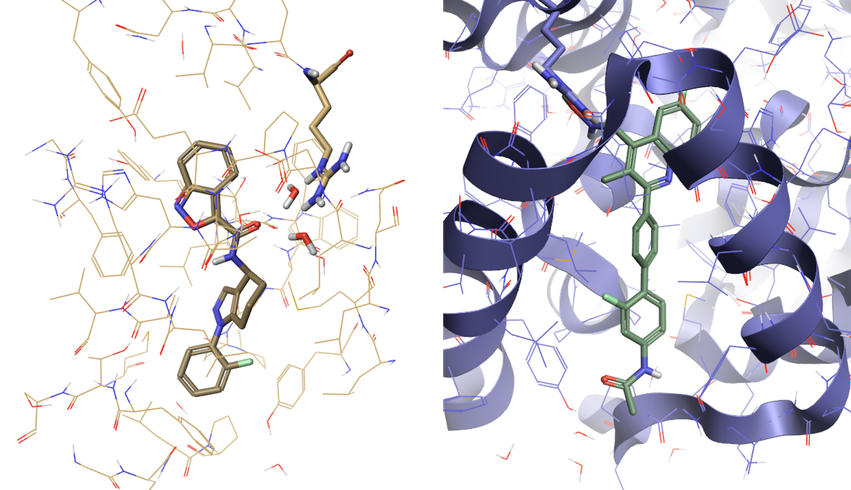 The two protein ligand systems for use as template for virtual screening