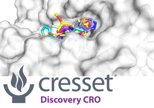 Cresset Discovery Virtual Screening Newsletter Image