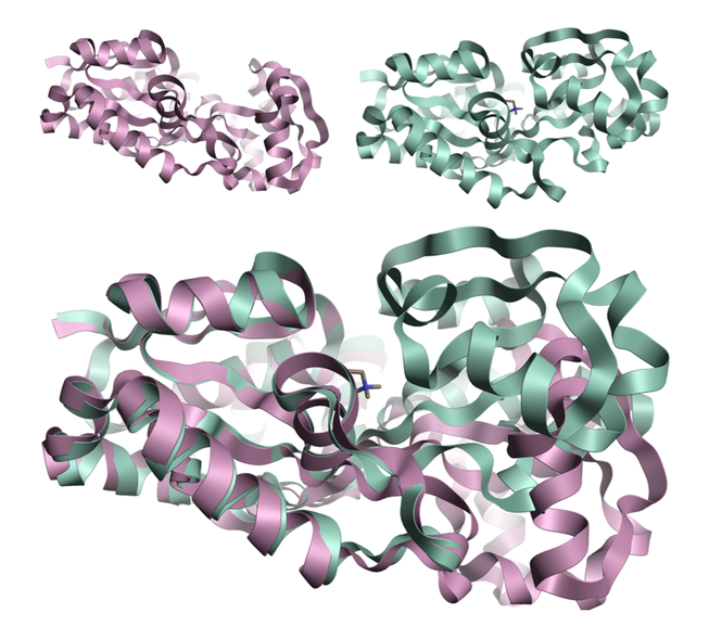 Crystal structures 1sw2 and 1sw5 modeled in Flare