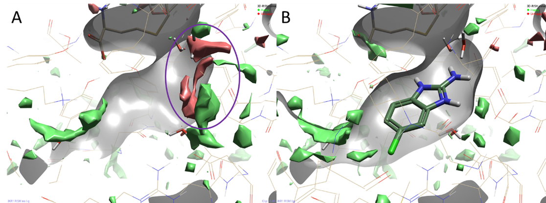 3D-RISM analysis of hPNMT complex