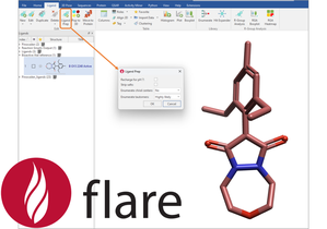 Flare Library Enumerator Newsletter Image