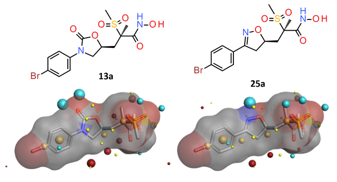 Oxazolidinone 13a and isoxazoline 25a showed  MIC 4 μgmL against P aeruginosa