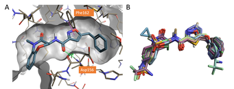 Figure 1_Crystallographic compound GSK’481 and Dataset of molecules aligned to the X-ray structure of GSK’481