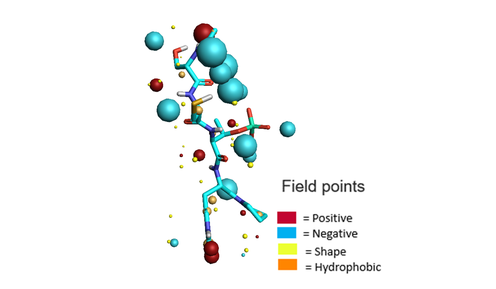 Figure 4_ Field points whcih describe the molecular features of the FOXO peptide