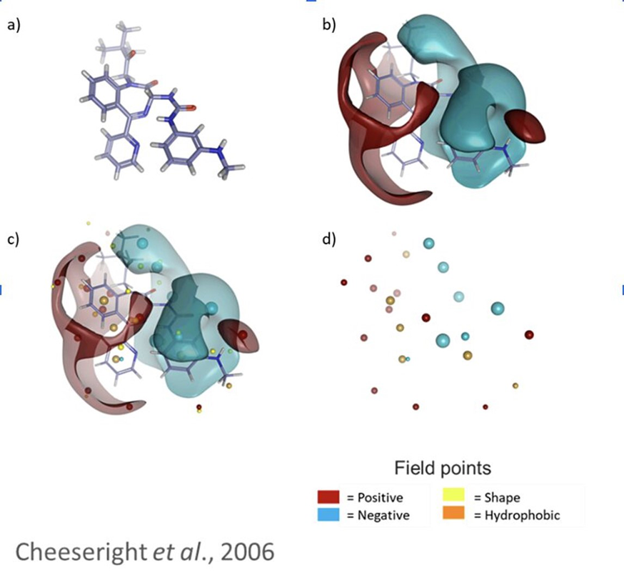 Figure 3: molecule in 3D space, Cresset's XED forcefield