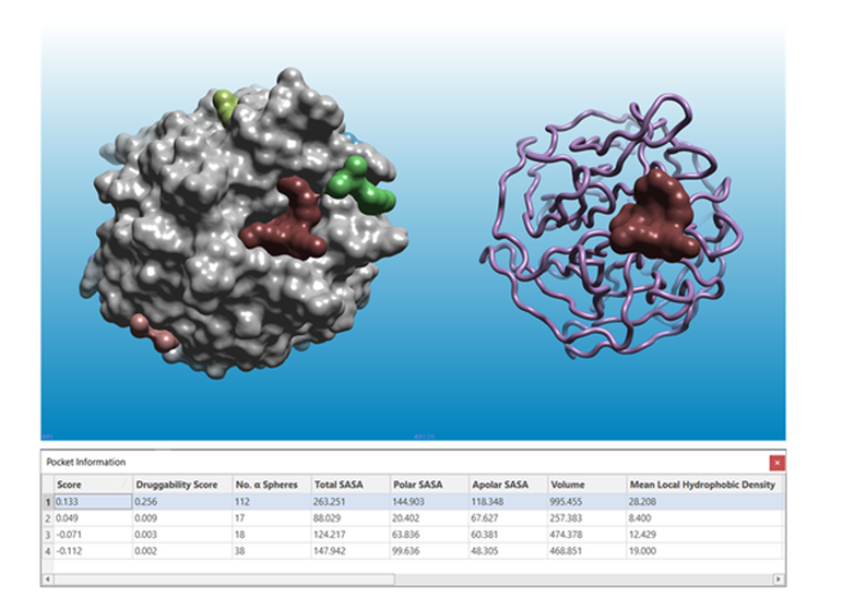 The new pocket detection method in Flare enables users to find and characterize potential druggable binding sites
