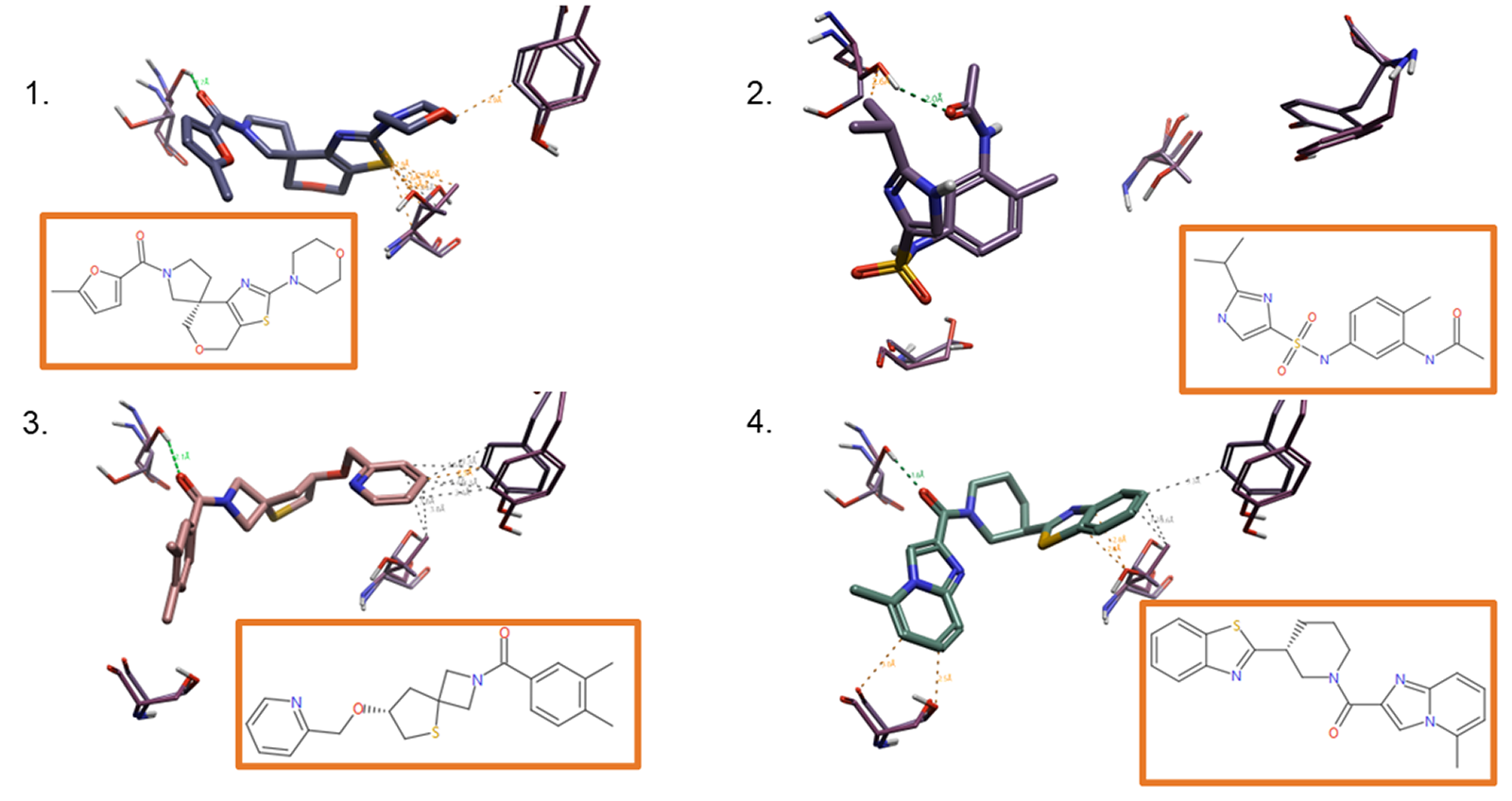 Figure 5 examples of the top-ranking ligands following the triaging steps