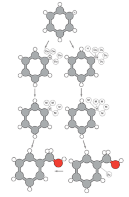 two common topologies for alchemical calculations: single and dual topology