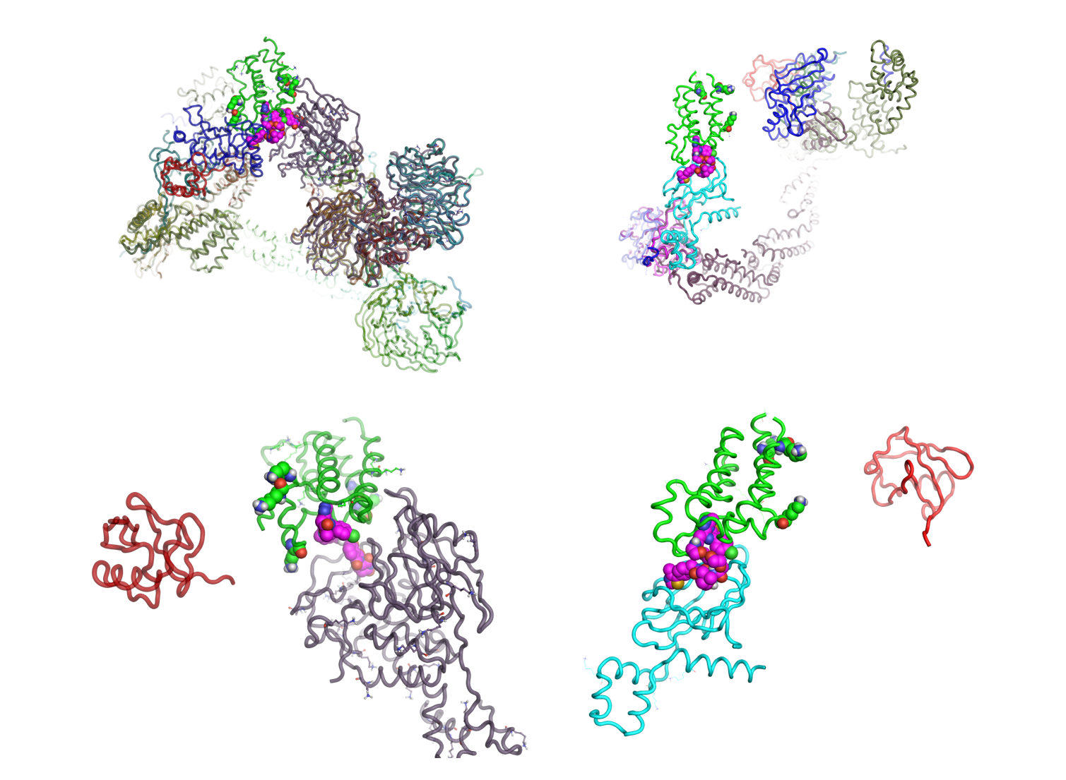 Composite superimposition of Cereblon E3 ligase and BRD4