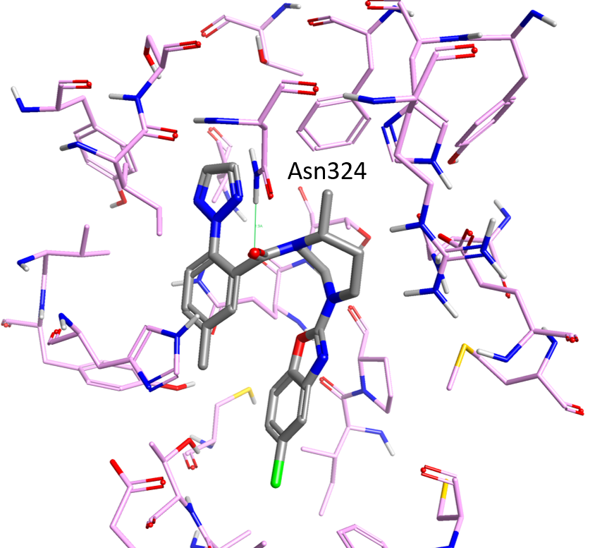 Figure 1 – Crystal structure of Suvorexant bound to the human Orexin 2 receptor