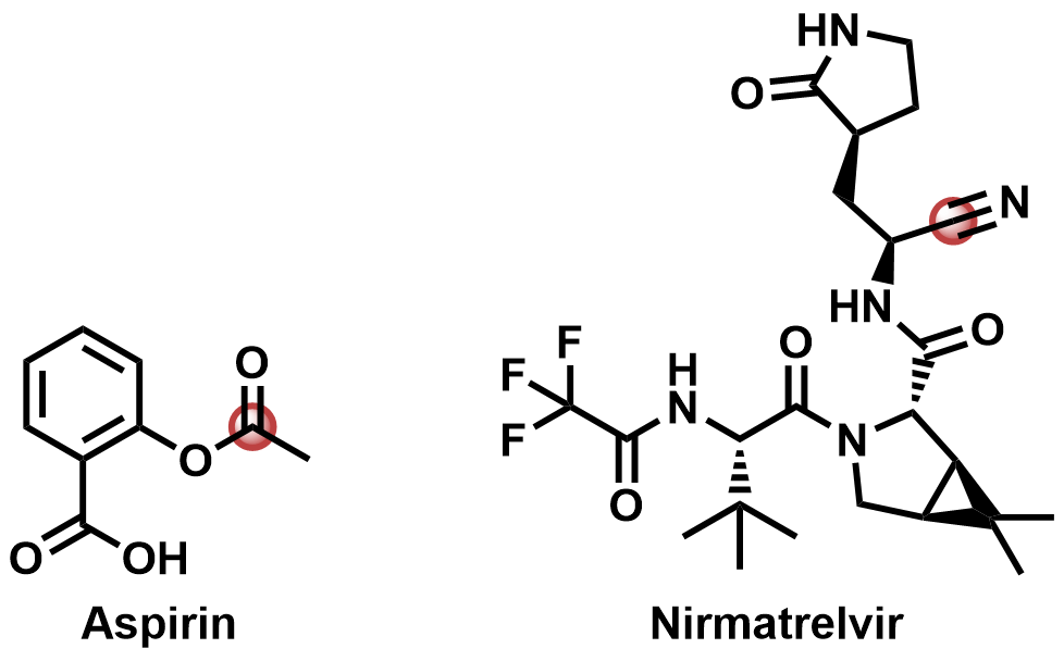 Aspitin and Nirmatrelvir with their reactive groups highlighted