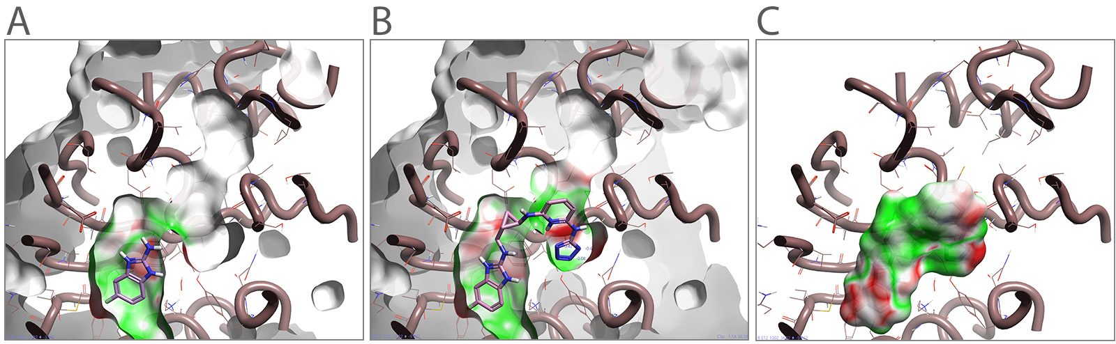 1600x494 fragment grown in protein binding pocket